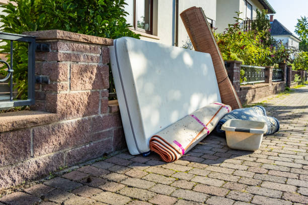 Best Shed Removal  in USA